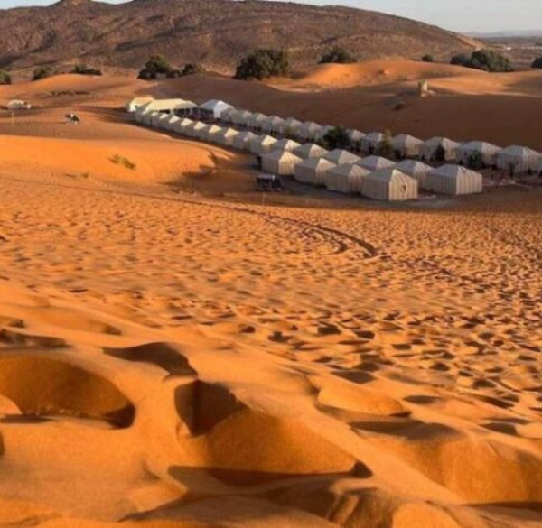 Design sans titre - 2025-07-26T165725.330