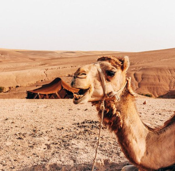 Design sans titre - 2025-07-26T182134.720