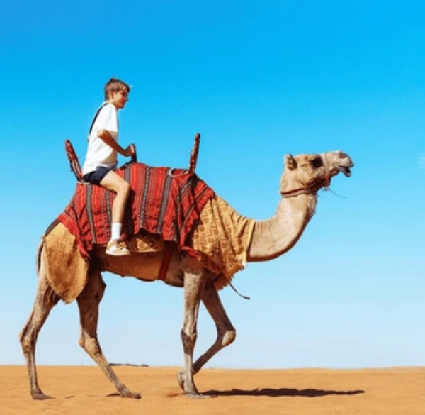 Design sans titre - 2025-07-26T182207.915