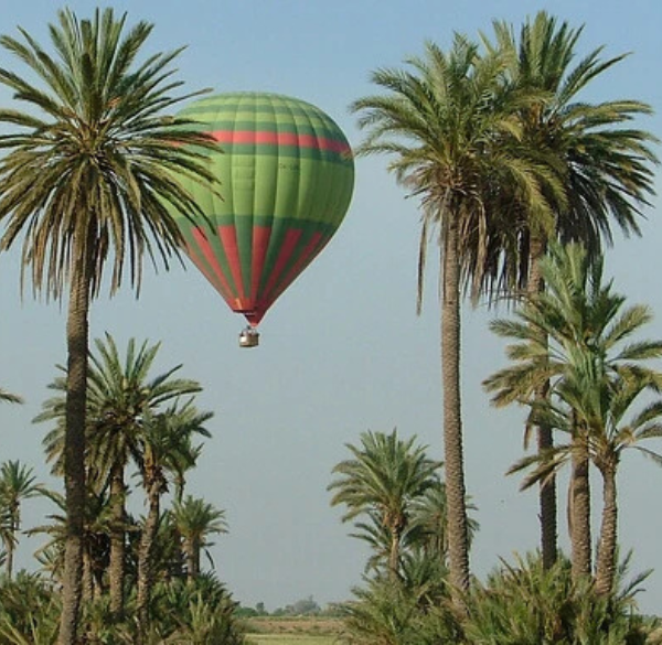 Design sans titre - 2025-07-26T185621.204